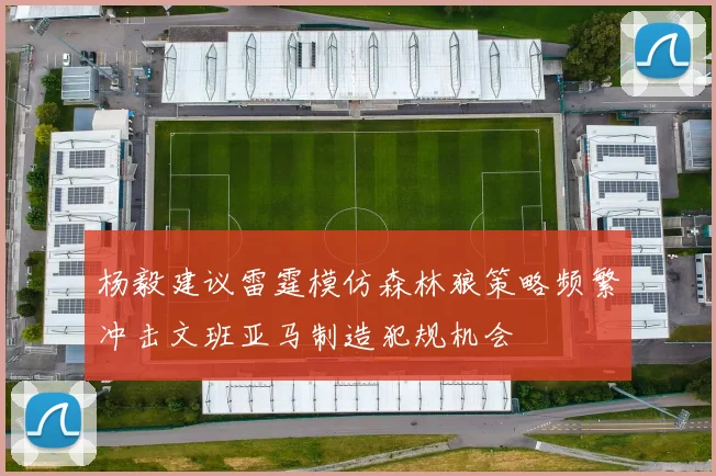 杨毅建议雷霆模仿森林狼策略频繁冲击文班亚马制造犯规机会