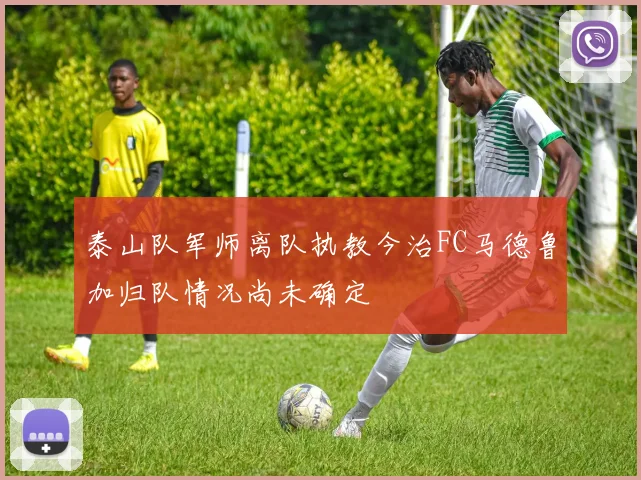 泰山队军师离队执教今治FC马德鲁加归队情况尚未确定